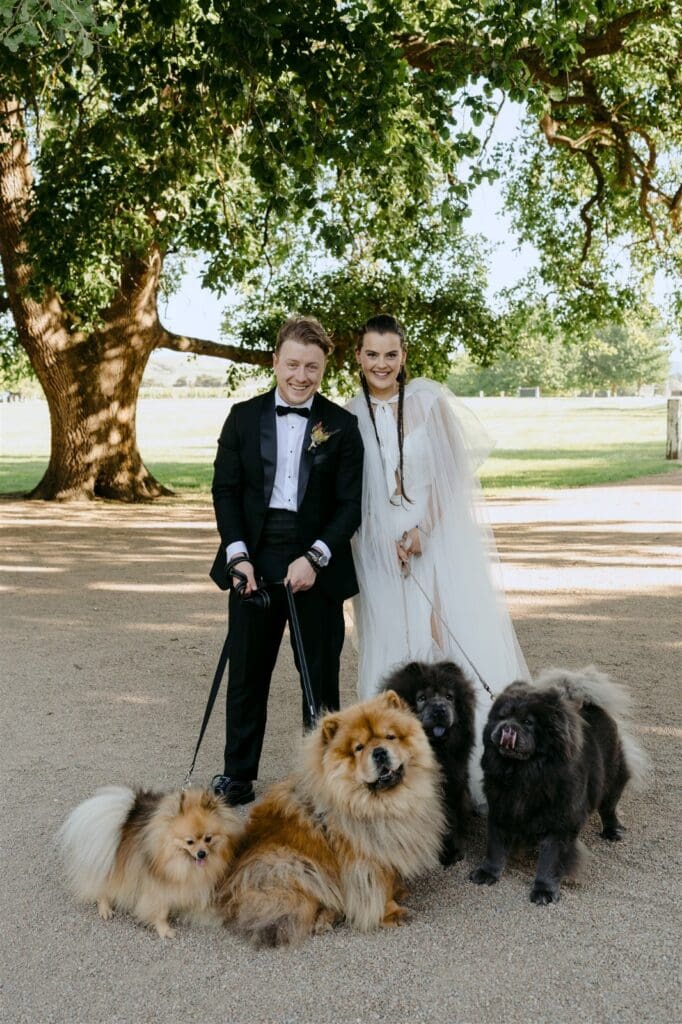 A bride and a groom holding their four dogs at their wedding